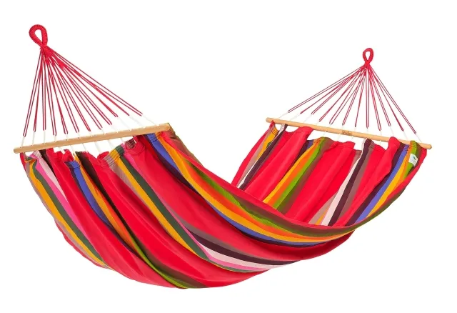 Graphik Ara Macao by Jobek JO-017004 color многоцветный