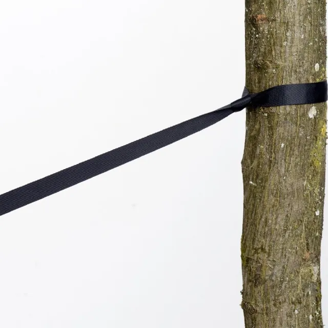 Tree huggers 2 pieces by Amazonas AZ-3025004 color black